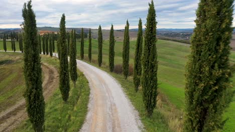 drone footage of amazing landscape scenery of tuscany in italy, cypress trees along white road