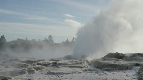 Géiser-Geotérmico,-Rotorua,-Nueva-Zelanda,-Cámara-Lenta-Icónica