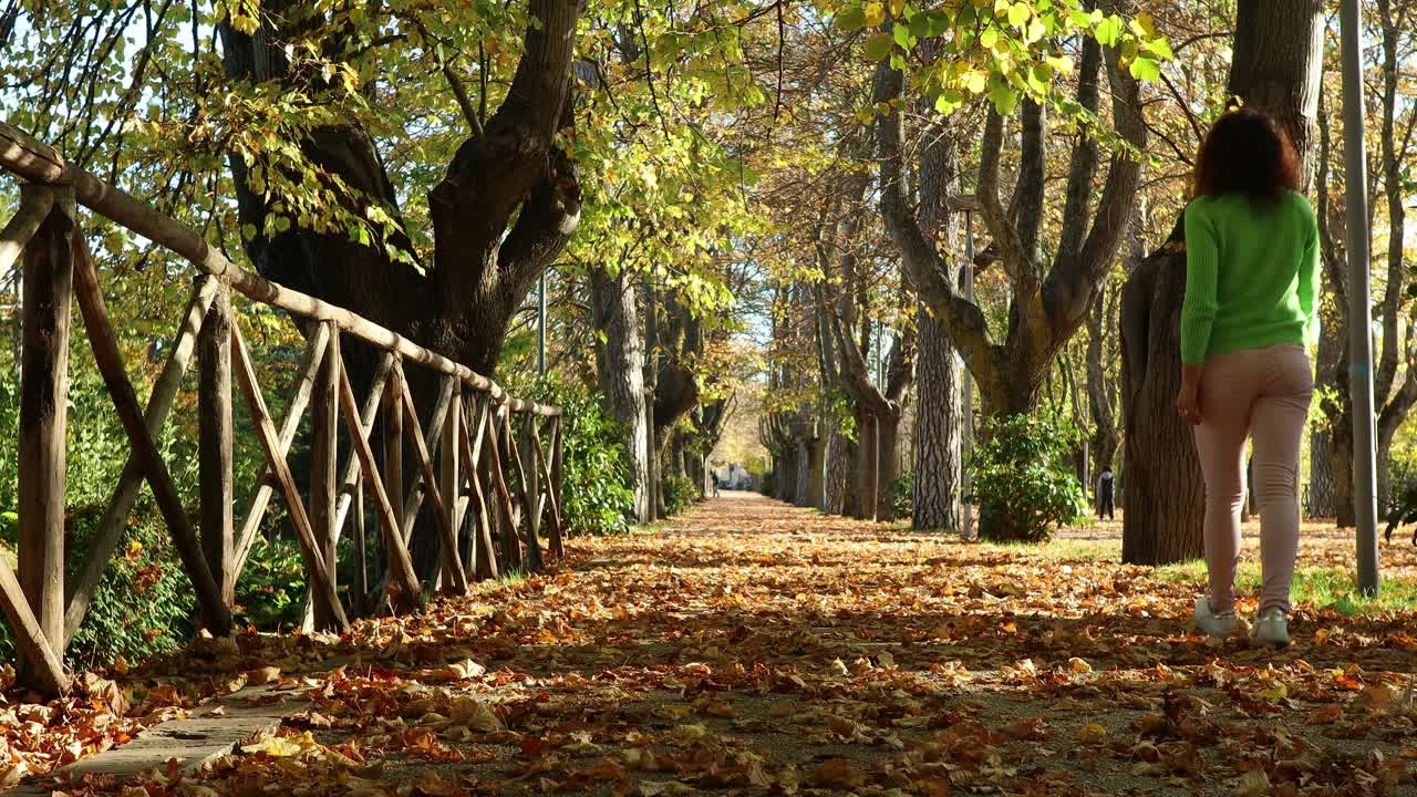 niña camina lentamente en la colorida avenida arbolada en otoño, mientras las hojas caen de los árboles