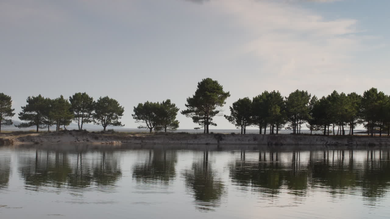 갈리시아 사구 나무 02