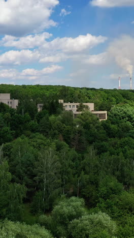 houses in green forest. roofs of buildings among trees under blue sky. countryside among beautiful nature. aerial view. vertical video
