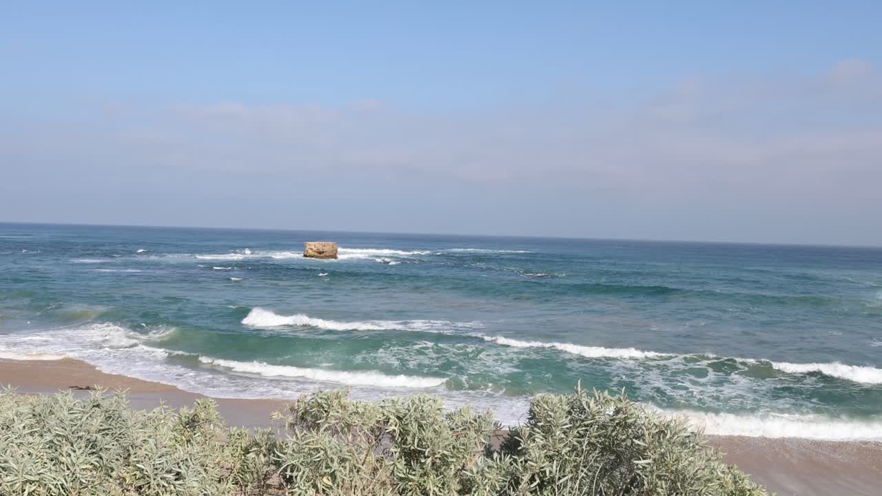 해안 식물과 함께 소렌토 해변에 파도가 부히고