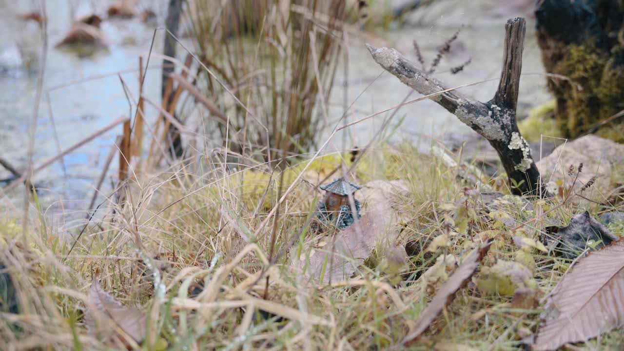 Natural pond scene with Japanese-style decoration, representing tranquility and cultural beauty.
