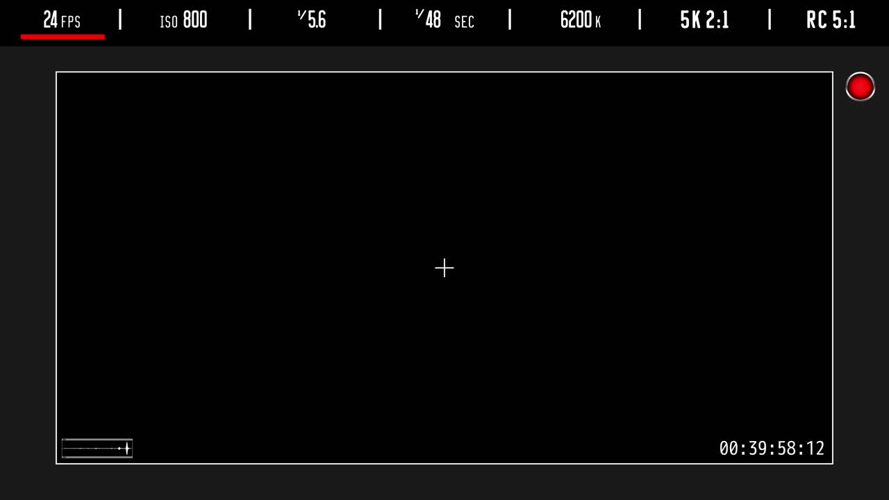 Digital Camera On-Screen Display with Recording Interface