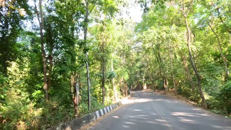 a car journey along a winding road surrounded by trees