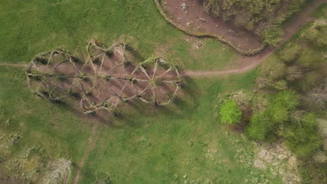 4K-willow-cathedral-live-sculpture-made-of-willow-trees-in-Taunton-Somerset,-60fps-drone-moving-to-the-left-over-the-tree-cathedral