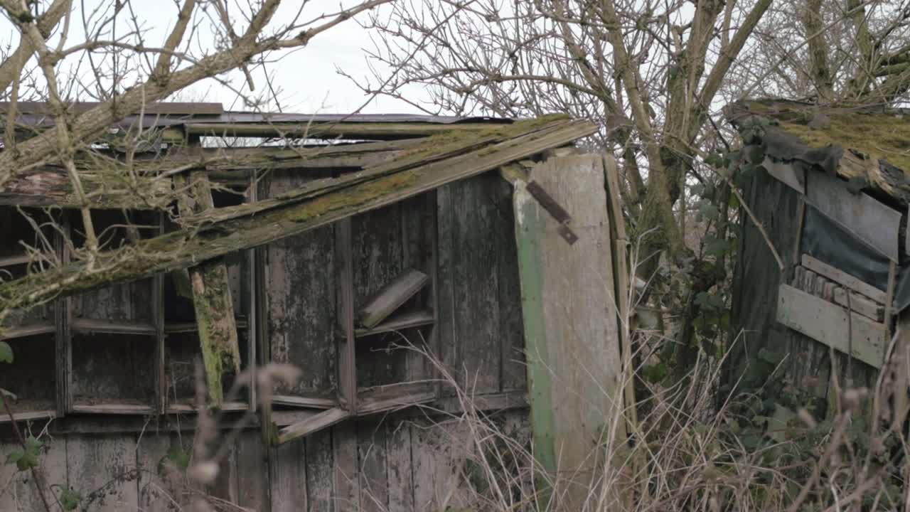 Derelict broken abandoned sheds in overgrown woodland