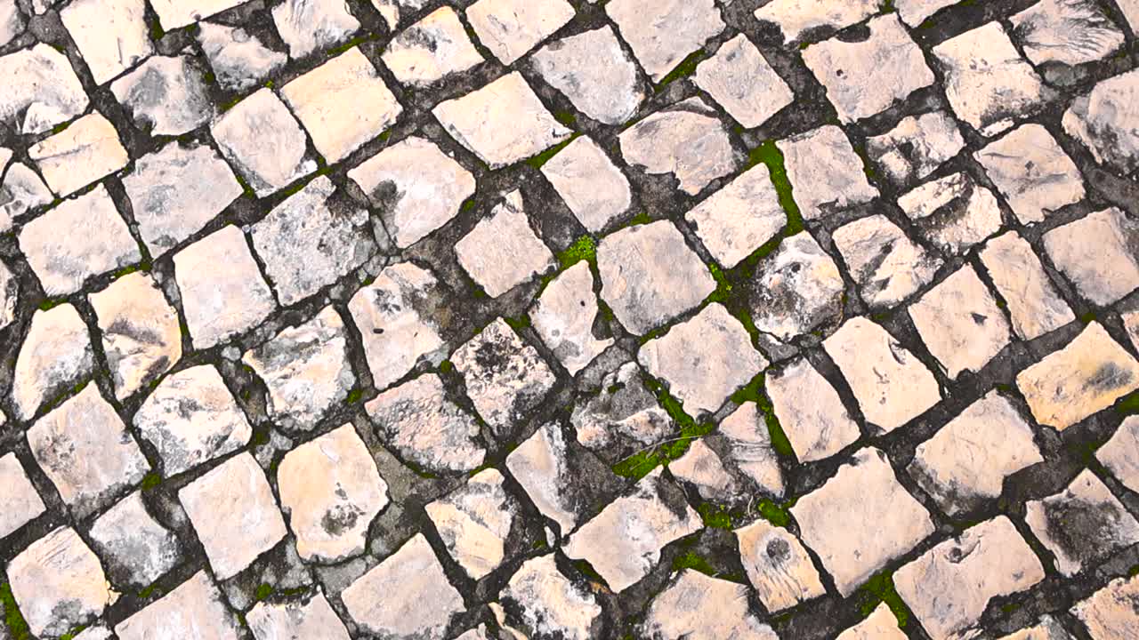 Top down detailed view of Portugese pavement basalt and limestone square shaped stones or rocks, also knows as Calçada portuguesa during day time. The wide shot is spinning slowly, moss visible also
