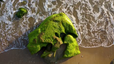 océano lentamente arrastrarse en dorado vívida colorida playa de arena cubierta de piedra verde algas natural hermoso paisaje de maravillosa playa experiencia de natación pacífico emocionante buceo surf aventura en irán