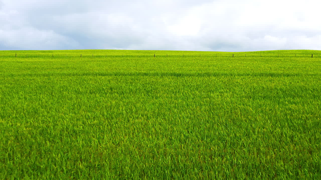 There's always room to grow