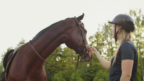 it's a beautifull day with lovely horse. girl is stroking her brown horse. these are amazing emotions and tender feelings.