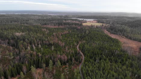 Amplio-Carro-De-Establecimiento-Aéreo-En-Sobre-Explotación-De-Humedales-Agroforestales-De-Pinos