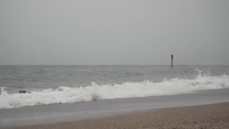 group of sea seals on the sandy beach of norfok england uk. breaking waves and curious animals