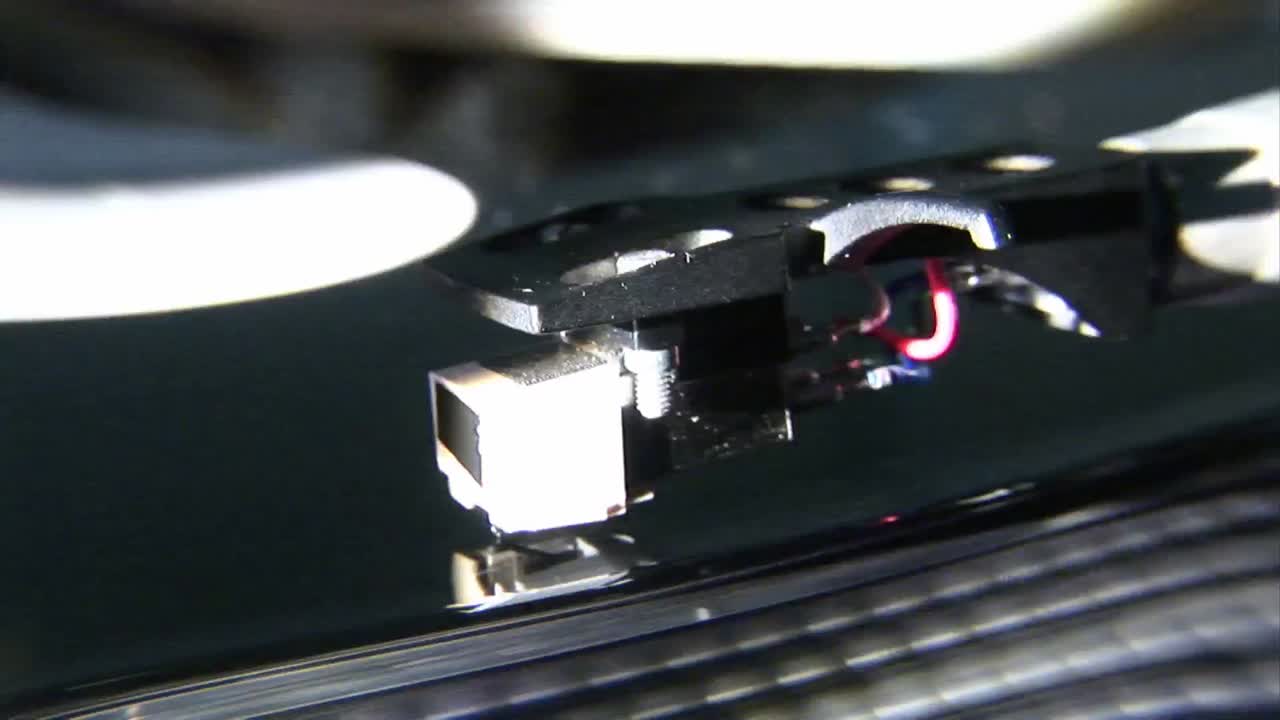 야간 생활을 즐기고