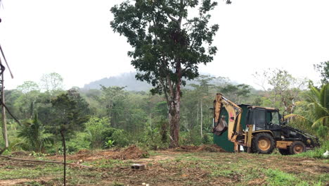 land being cleared on a rainy day, backhoe knocks down a tree