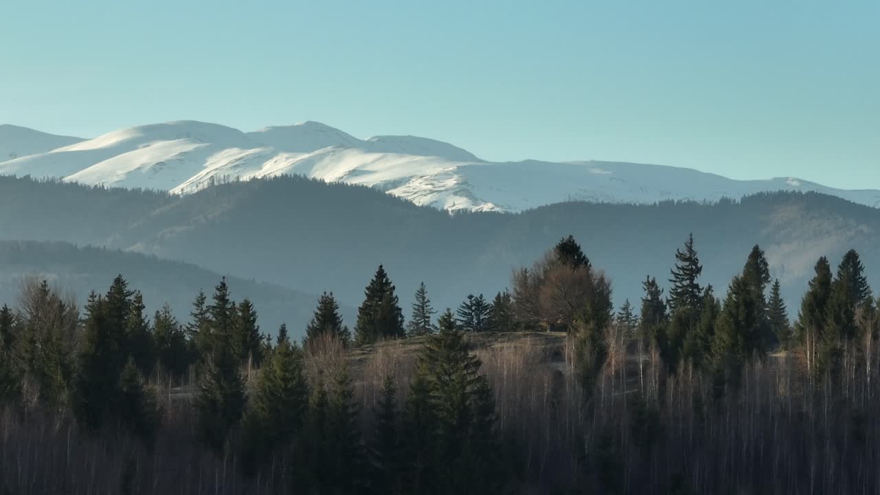 montañas cubiertas de nieve se elevan sobre un denso bosque en un paisaje pacífico en un día soleado