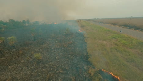 volar a través de prados en llamas, drones fpv, llamas quemar cultivo de tierras de cultivo, humo y grandes llamas fuego, hierba en llamas, vista general, línea de fuego, vuelo aéreo incendio forestal, 4k, carretera, arbustos, palmeras