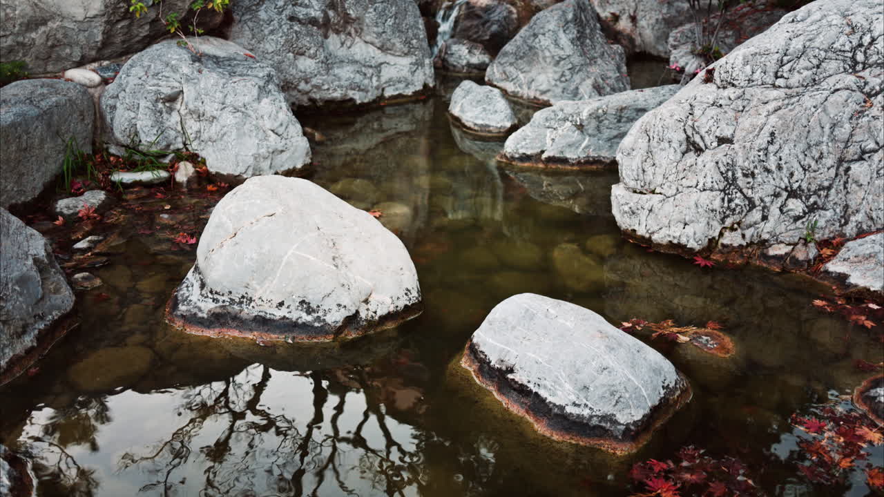 Rocce in uno stagno nei Giardini Giapponesi a Monaco