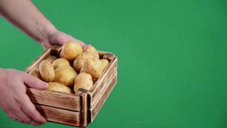 manos masculinas sosteniendo una caja de madera de patatas.