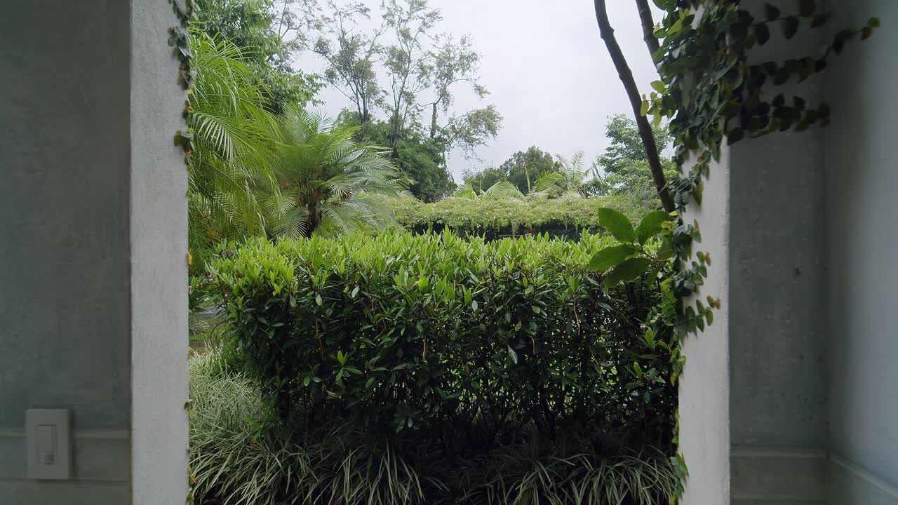 Walking through an archway covered in vines, leading into a lush greenery forest with rain gently falling. The scene highlights the vibrant, serene atmosphere of the tropical environment