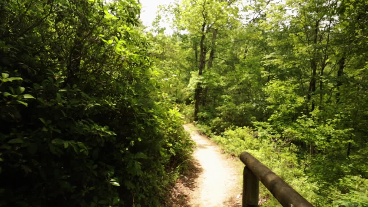Nature Hike at Natural Bridge State Park, Kentucky