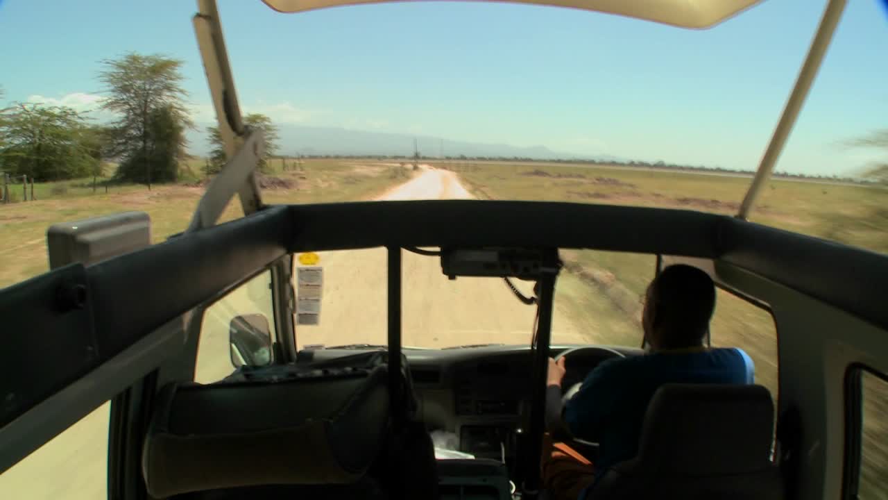아프리카 1을 통해 오픈 탑 사파리 차량에서 운전하는 pov 샷