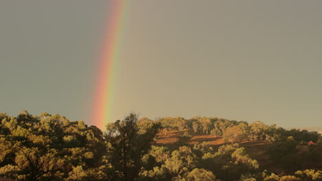arco iris brillante que conduce al cielo desde la vegetación verde