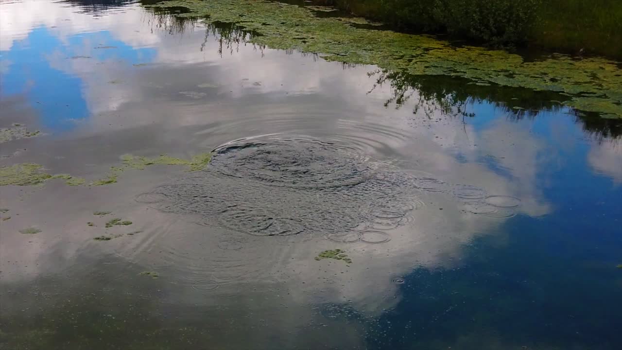 A fish is seen trying to swim away from a fishing hook. (slow motion)