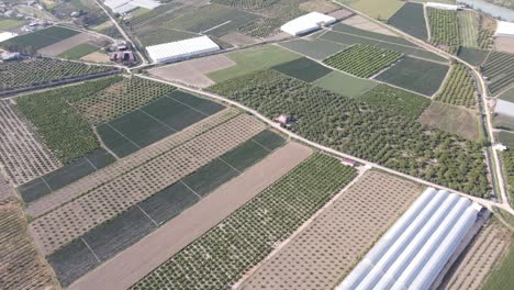 Vista-Aérea-De-Tierras-De-Cultivo-Verdes