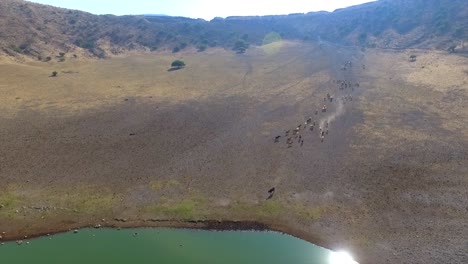 oasis en el crater del desierto en canatlan durango