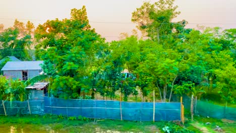 Background-of-rural-Bangladesh-scenery-as-train-moves-toward-next-destination