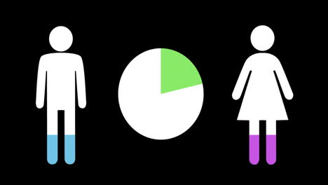 male and female shapes and pie chart filling up with colours 4k