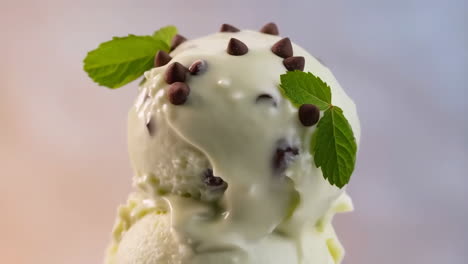 mint chocolate chip ice cream with mint garnish