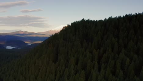 Dolly-In-Flight-Towards-Pine-Covered-Ridge-Reveals-Snowy-Mount-St-Helens,-Washington