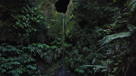 Hermosa-Cascada-En-La-Selva-Verde-Entre-Plantas-En-Las-Azores