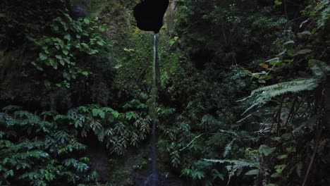 hermosa cascada en la selva verde entre plantas en las azores