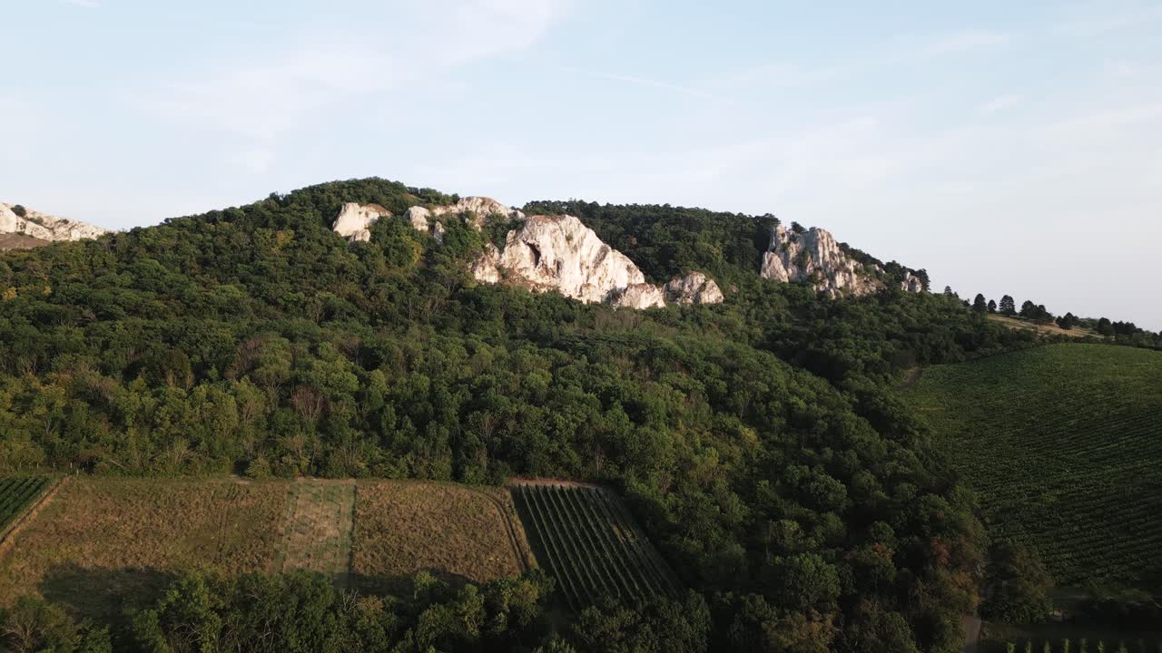 Aerial view of the vast vineyards under the Pavlov hills and lime rock formations