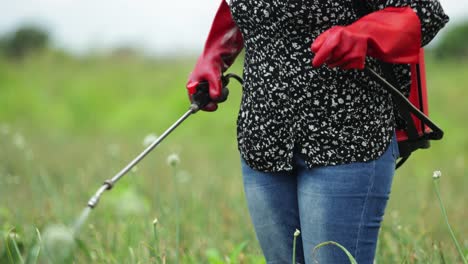 Female-African-farmer-spraying-crops-with-weedicide-using-knapsack-sprayer