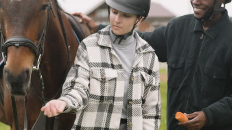 twee mensen die een bruin paard voeren met wortels