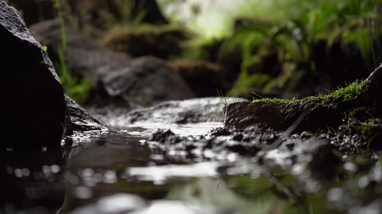 Water drops falling into a puddle or mud amongst mossy rocks
