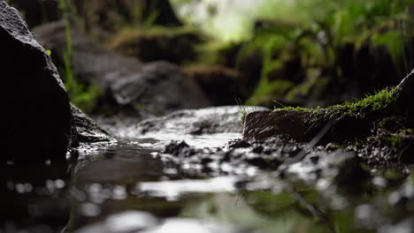 Wassertropfen,-Die-In-Eine-Pfütze-Fallen,-Oder-Schlamm-Zwischen-Bemoosten-Felsen