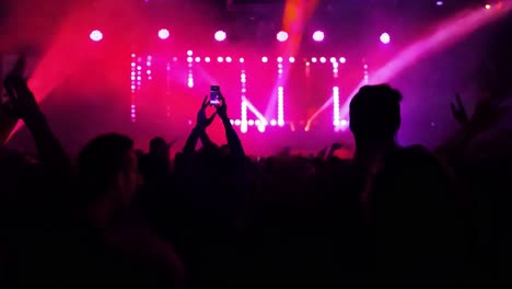 crowd at a concert with raised hands, stage lights and silhouettes