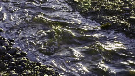 water stream corner to corner with gravel in sunlight