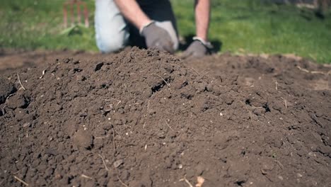 man working in garden and removing weeds from soil