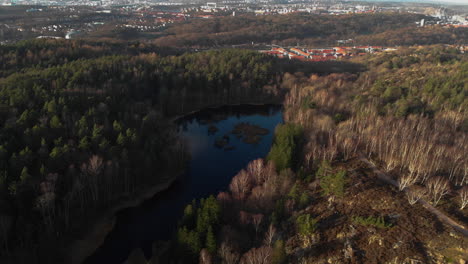 houses and residential area in coniferous forest landscape aerial view