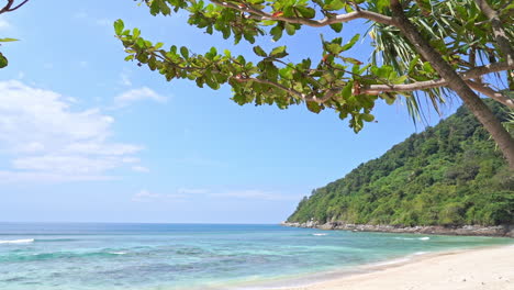 lagoon sandy beach with turquoise water rolling towards island beach, with tropical trees in foreground