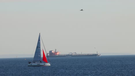 sailboat gliding across calm sea near brighton beach