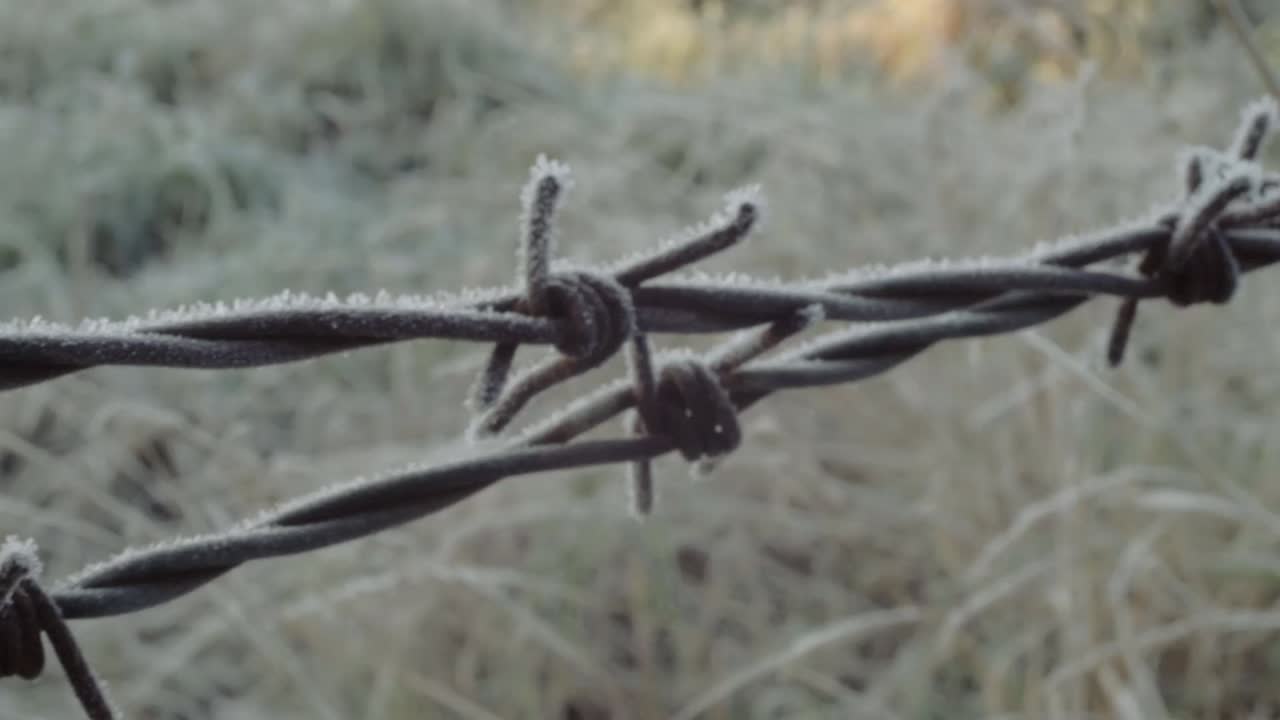 Frost on barbed wire fence in cold winter