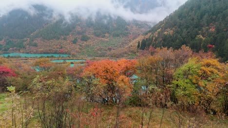 china, paisaje, sichuan jiuzhaigou, área panorámica