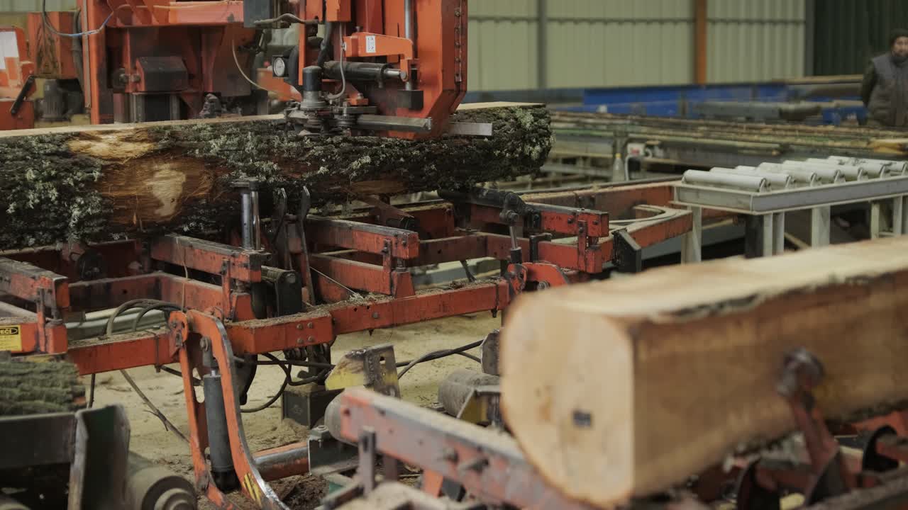Industrial Sawmill Machine Cutting a Large Log
